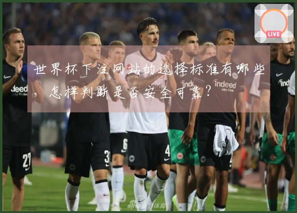 世界杯下注网站的选择标准有哪些，怎样判断是否安全可靠？
