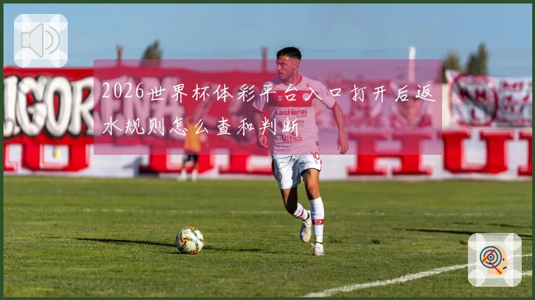 2026世界杯体彩平台入口打开后返水规则怎么查和判断