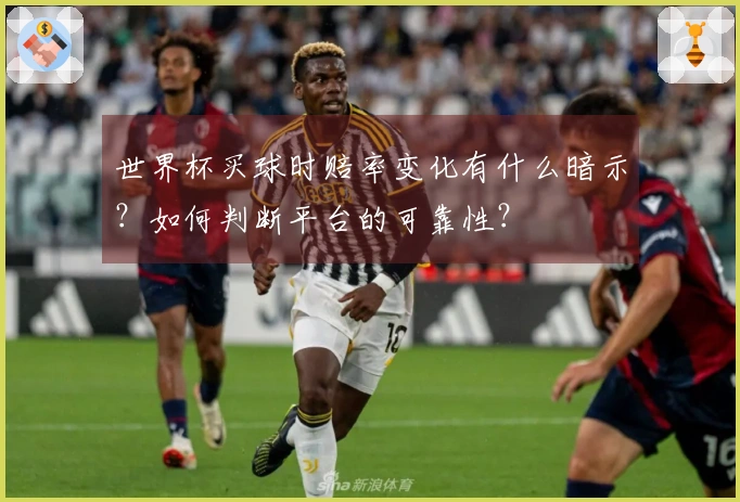 世界杯买球时赔率变化有什么暗示？如何判断平台的可靠性？