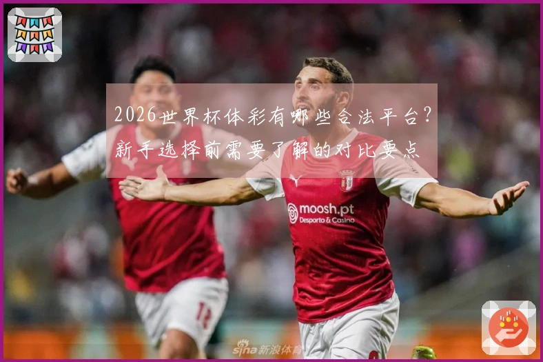 2026世界杯体彩有哪些合法平台？新手选择前需要了解的对比要点