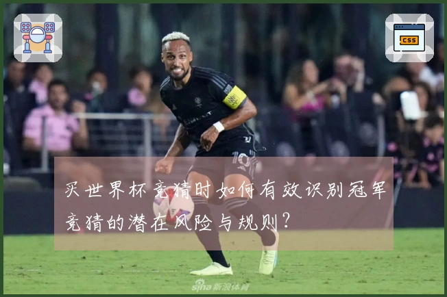 买世界杯竞猜时如何有效识别冠军竞猜的潜在风险与规则？