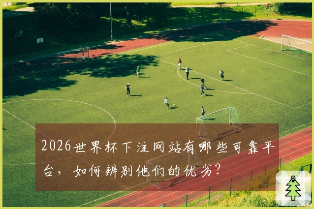 2026世界杯下注网站有哪些可靠平台，如何辨别他们的优劣？